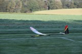 IMG 9524
